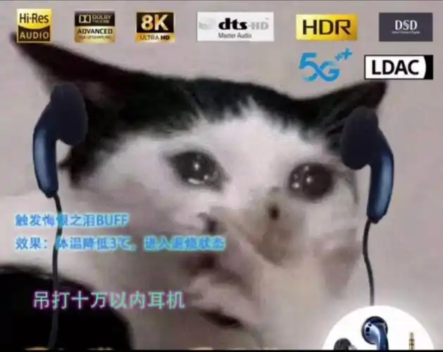 求推荐一款有线耳机价格几十就行,主要需要耐用的?