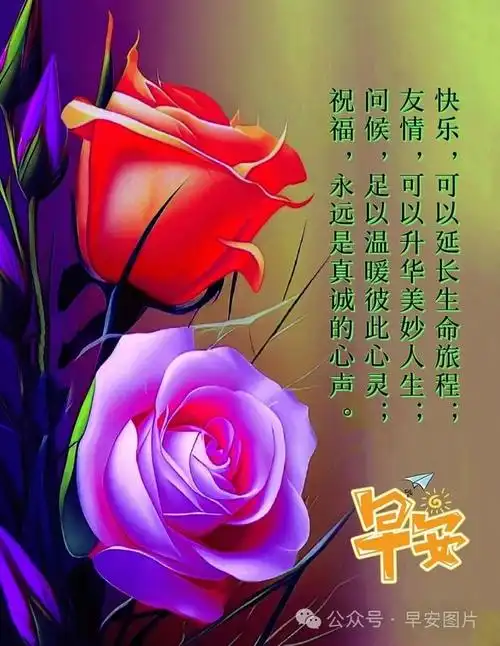 2024年1月16日最新早安温暖问候祝福图片大全|快乐|清晨|好运|早上好