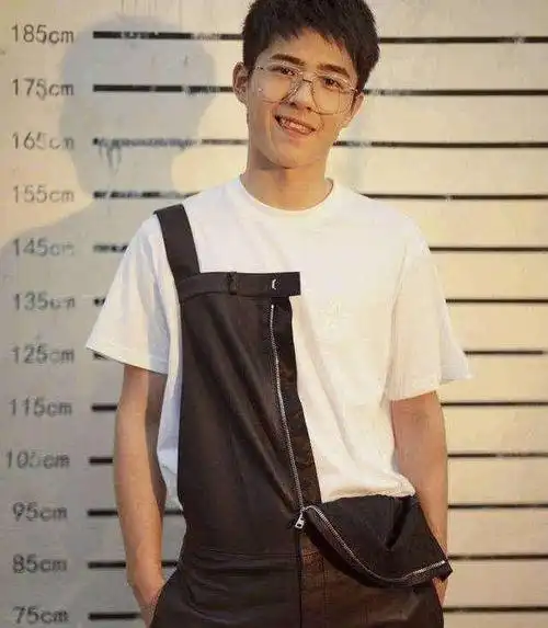 明星身高华晨宇172很多人和王家卫站一起似乎都像小宝贝