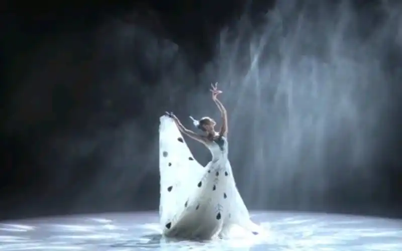 4.29,上海国际舞蹈日,杨丽萍作品《雀之灵》,表演:肖蓉浩