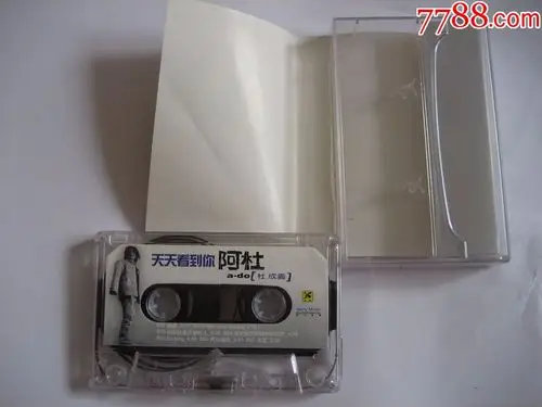 阿杜天天看到你