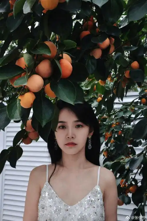 张佳宁继续开启休假模式的日子