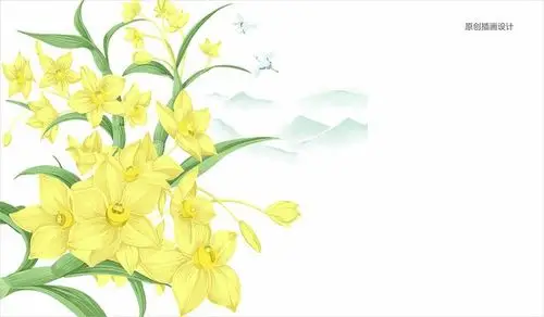 铁皮石斛礼盒包装设计|插画设计