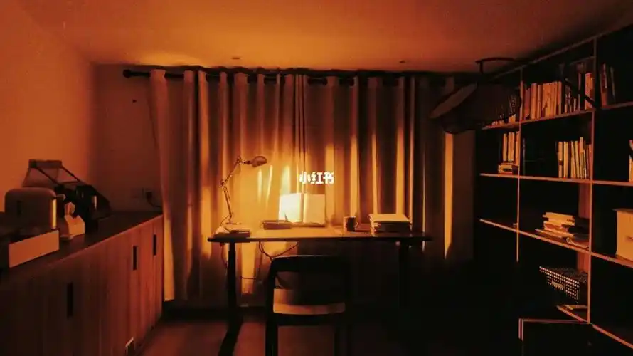 书房太有氛围感了,于是学到凌晨
