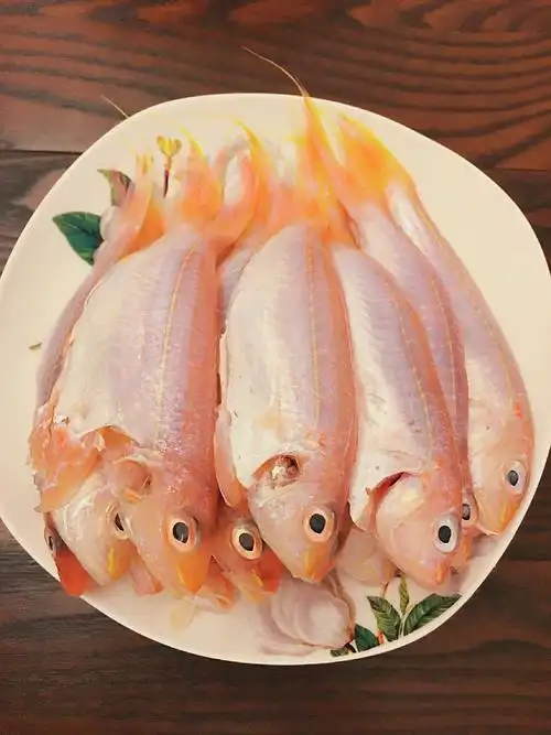 红线鱼,在北方我从来没有见过.