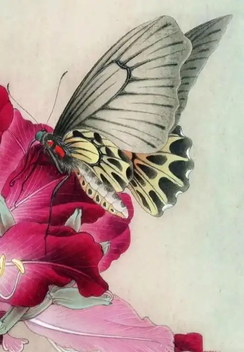 图文教程 | 李晓明工笔画《紫荆花 凤蝶》完整绘制步骤说明