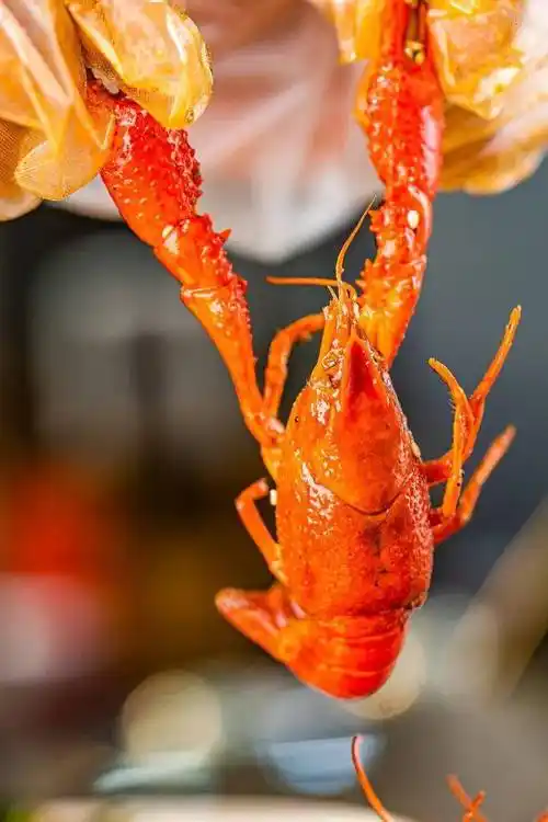 9秒双人油焖小龙虾套餐!宵夜届霸主来啦!地道湘派做法,连壳都有味!