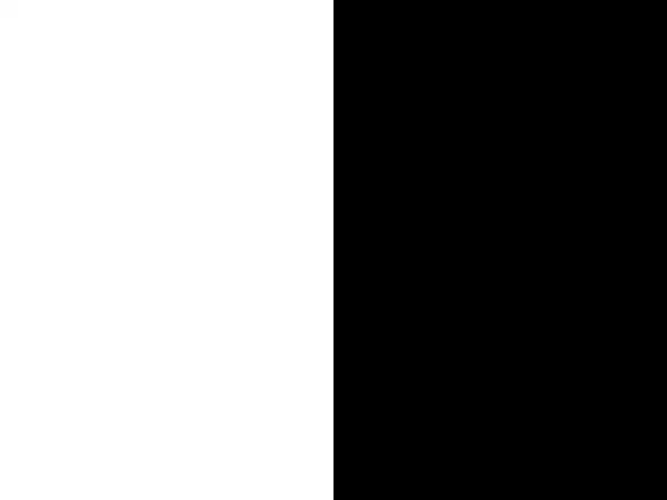 一样大的一半黑一半白和一半白一半黑的两张图片(左右黑白,精确一半)