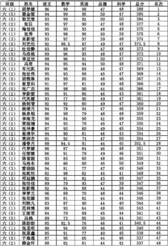 六年级期中考试成绩册