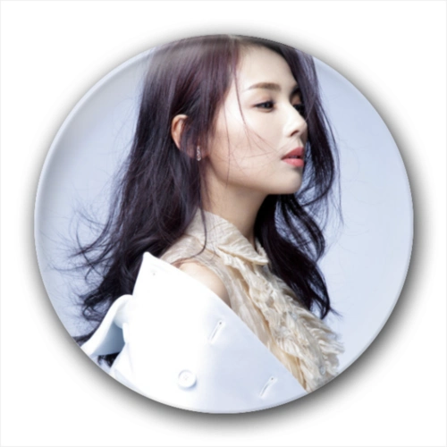 刘涛(图可换)-创意冰箱贴