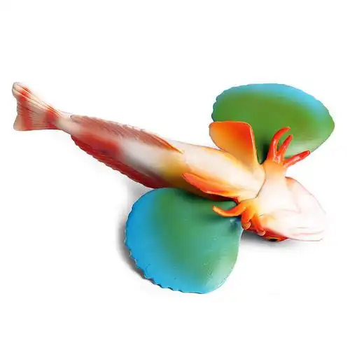 仿真热带鱼儿童认知玩具仿真海洋动物玩具模型鱼类淡水鱼玩具大集合假