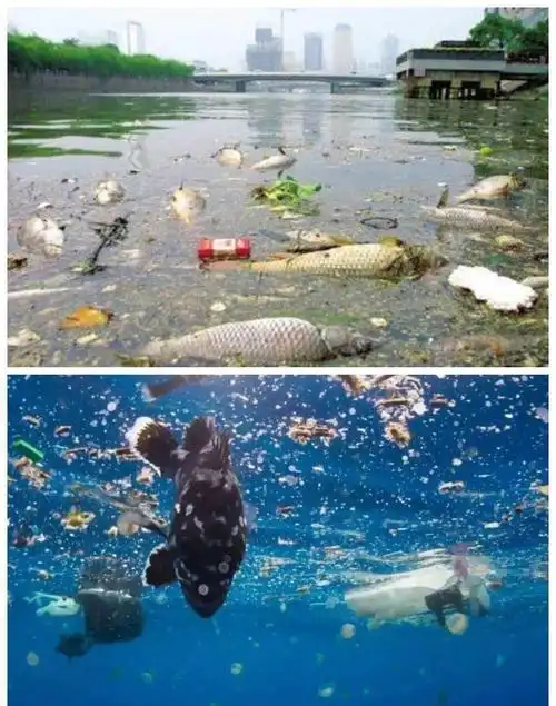 垃圾分类 从我做起