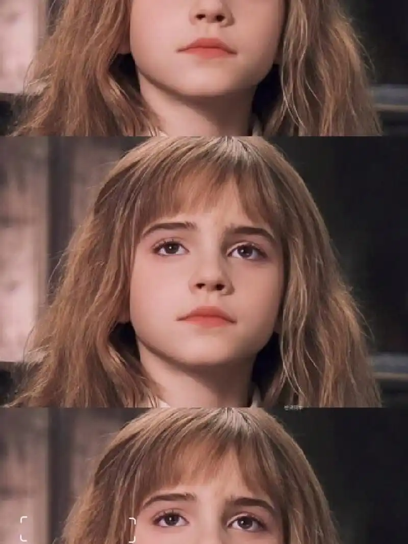 《哈利波特》人物资料(赫敏篇) hermione jane grange 赫敏·格兰杰