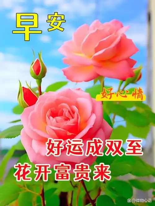 漂亮的清晨早上好祝福图片,问候有心人,祝福永牵挂