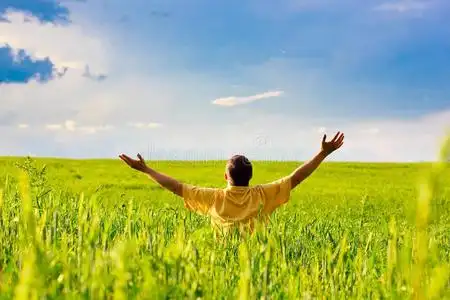 阳光田野里的男人照片