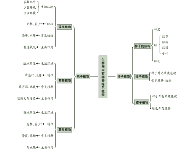 广东省中山市2018年中考生物专题复习第三单元生物圈中的绿色植物第一