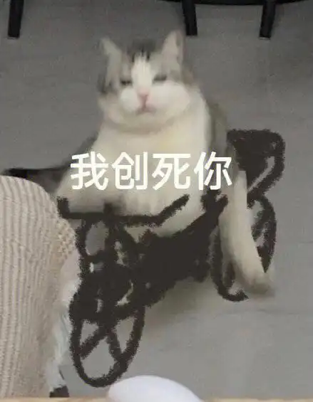 刚刚差点碾死一只泰迪