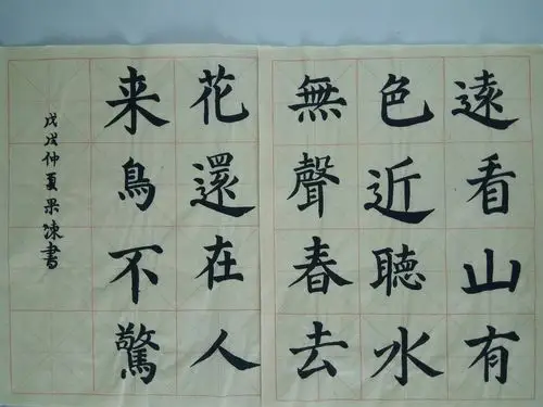 练习毛笔字第一百天纪念___献给坚持不懈的自己(副本)