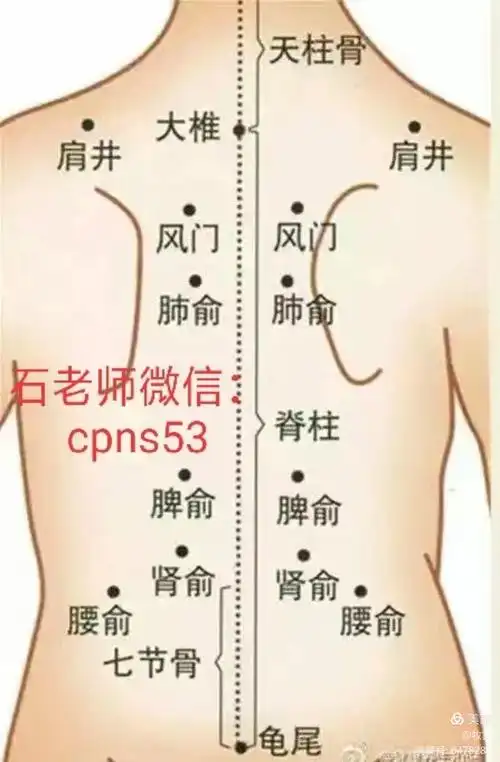 的对应区,如背上部对应肺和心脏,背下部对应脾,胃,肝,胆,腰部对应肾