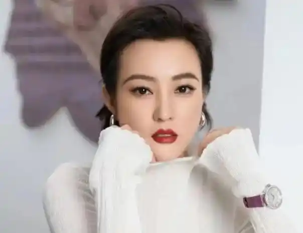 郝蕾:和刘烨离婚后!独自一人养育双胞胎儿子!如今怎么样了?