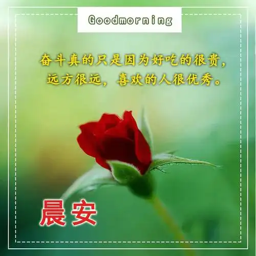 原创亲爱的朋友早安祝福语表情图片早上好问候图片