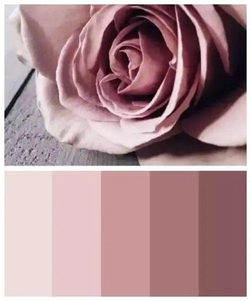 出的颜色,不同于樱花粉色那么娇嫩,干枯玫瑰粉在粉色中融合了灰色调