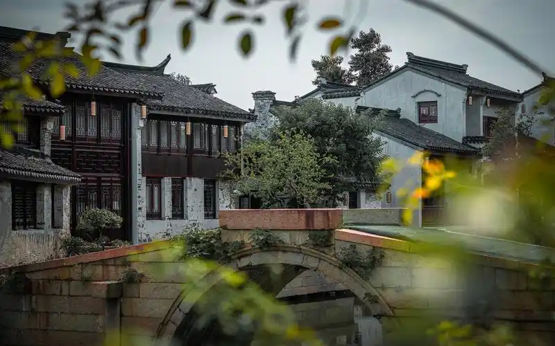 巡塘古镇的夏天,绿柳蝉鸣,水乡独特的韵味#盛夏记忆