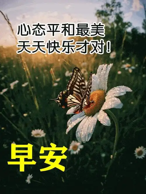 心态平和的早安励志短句,清晨问候朋友早上好的唯美图片 - 知乎