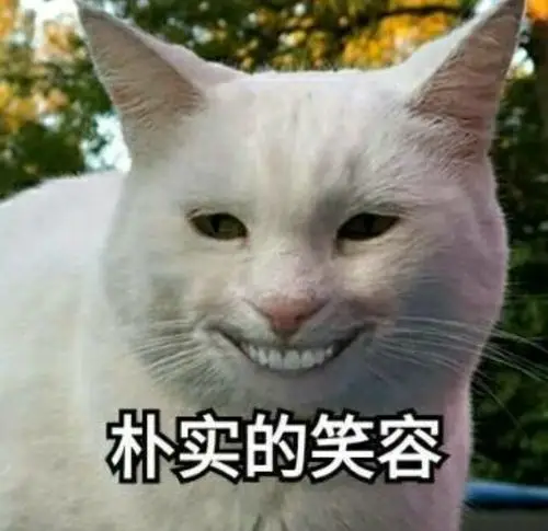 朴实的笑容(喵星人表情包)_喵星人_朴实_笑容表情