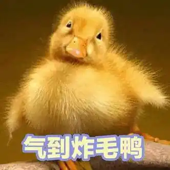 小黄鸭可爱无水印表情包大全小鸭子无水印表情包大全