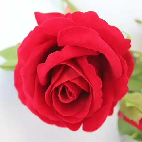 高支绒布角玫仿真婚庆红玫瑰花单支假花塑料花束餐桌客厅摆件摆设