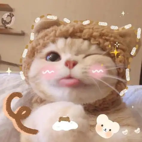 播放猫的头像还有喵喵我们一起来