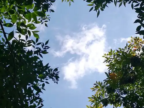 艳阳高照,彩云飞