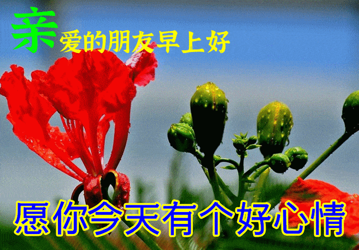 6月25日最漂亮早上好动态表情图片大全早晨好动图美图大全