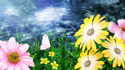 二次元风景# #花# #gif签名档# 图侵删