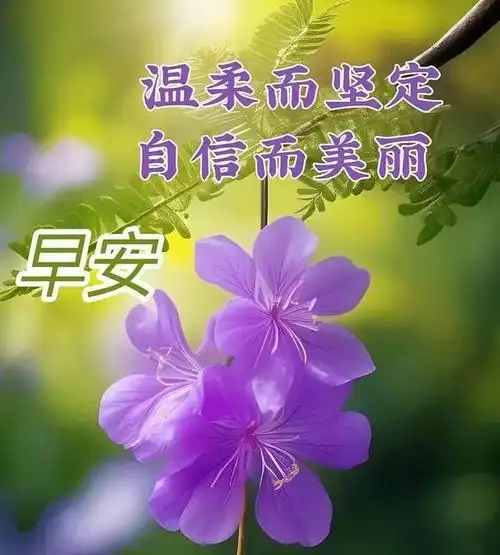 最美早上好问候语及关心话,清晨早安问候祝福你