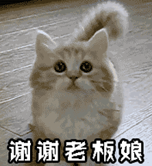 谢谢老板娘谢谢啦gif动图_动态图_表情包下载_soogif