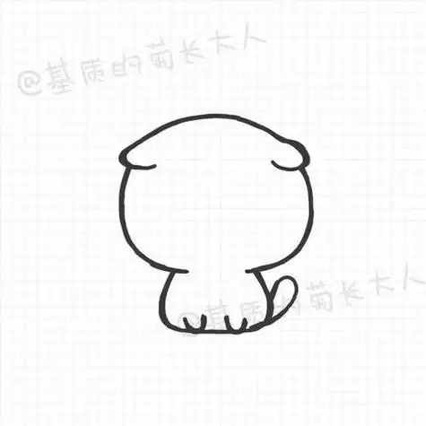 画一只折耳猫的猫咪简笔画教程