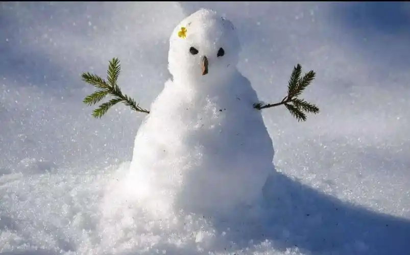 《下雪后》 文/姜毅凡 - 美篇