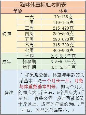 猫咪体重标准对照表