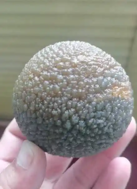 球粒玛瑙陨石曝光了