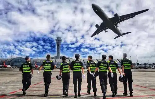 成都双流国际机场股份有限公司安全检查站护卫一科20192020年度民航
