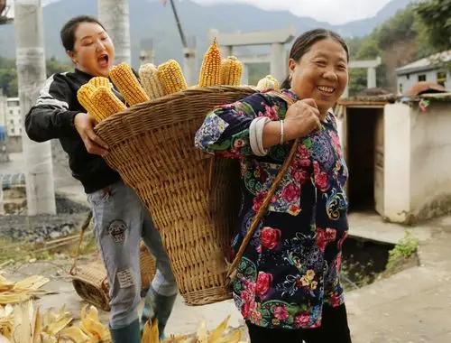 长寿文化之乡——镇坪,首个农民丰收节是这样过的