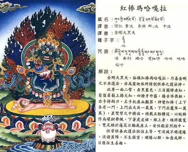 金刚大黑天,俗称红棒玛哈嘎拉,乃喜金刚之不共护法,亦为萨迦派所特别