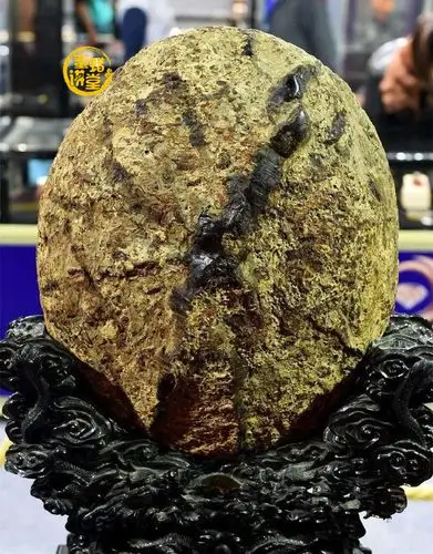 全世界最大的琥珀价值25亿它到底贵在哪里