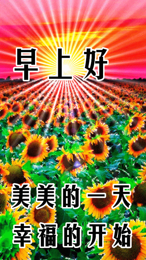 11月4日最漂亮早上好动态表情图片大全,早晨好动图美图大全_问候