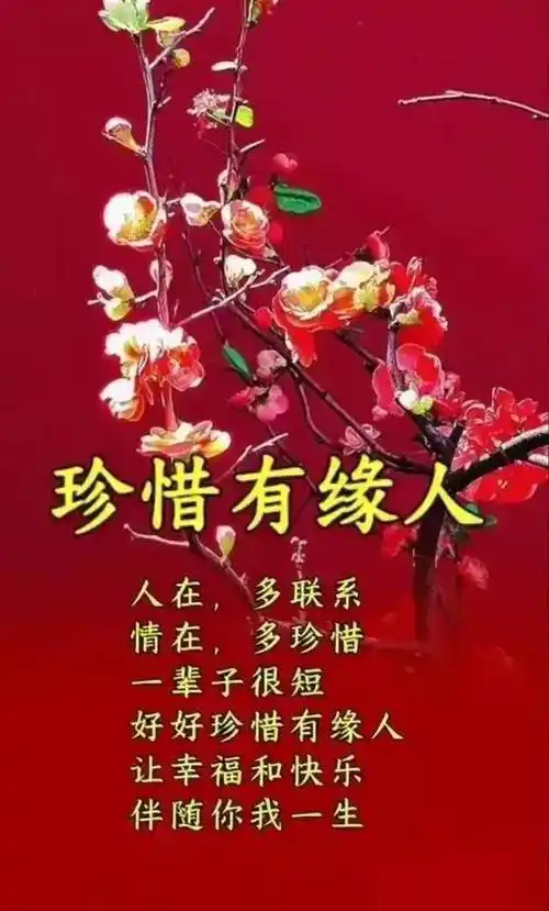 一声祝福代表着,你我之间的情意,彼此牵挂代表着,你驻在我的心里.