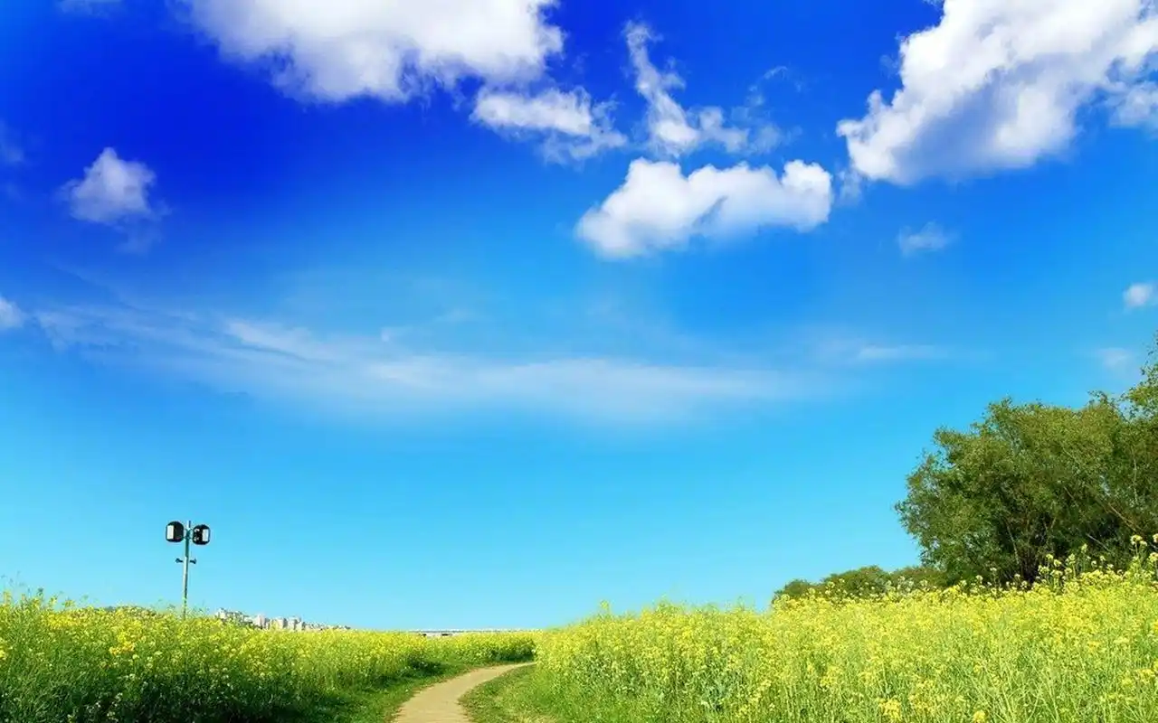 清新护眼唯美自然风景图片壁纸