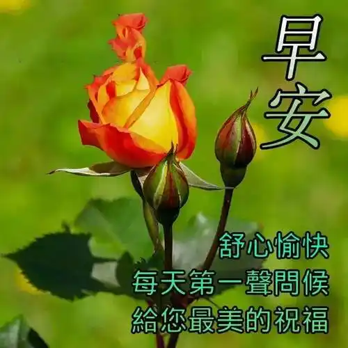 8张清新漂亮夏天早安早上好图片带字带祝福语 免打字聊天的朋友圈问候