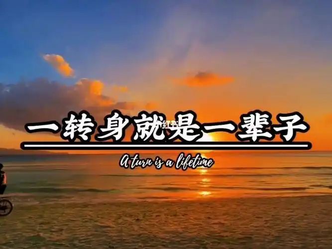 一转身就是一辈子可惜再也不能打扰